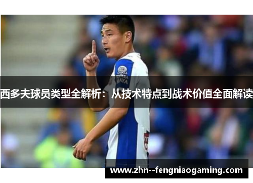 西多夫球员类型全解析：从技术特点到战术价值全面解读