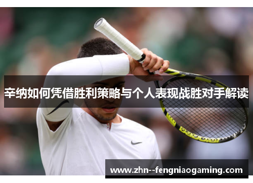 辛纳如何凭借胜利策略与个人表现战胜对手解读