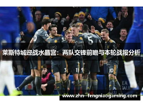 莱斯特城迎战水晶宫：两队交锋前瞻与本轮战报分析