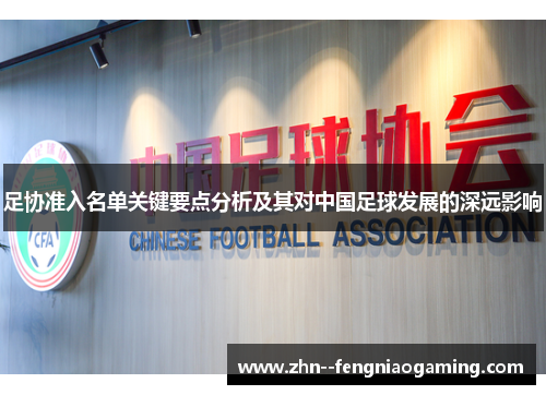 足协准入名单关键要点分析及其对中国足球发展的深远影响