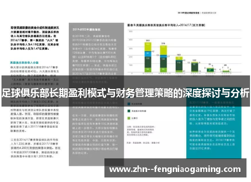 足球俱乐部长期盈利模式与财务管理策略的深度探讨与分析