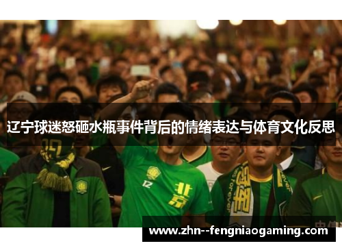 辽宁球迷怒砸水瓶事件背后的情绪表达与体育文化反思