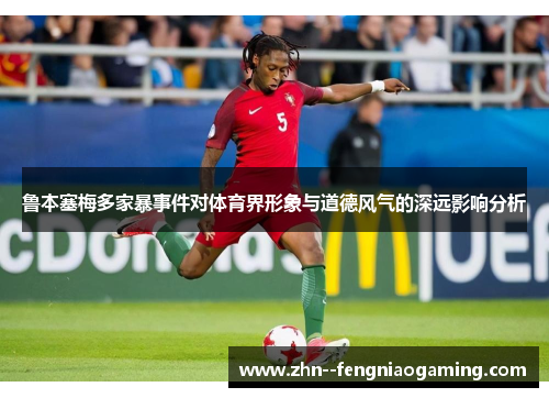 鲁本塞梅多家暴事件对体育界形象与道德风气的深远影响分析