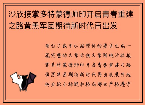 沙欣接掌多特蒙德帅印开启青春重建之路黄黑军团期待新时代再出发